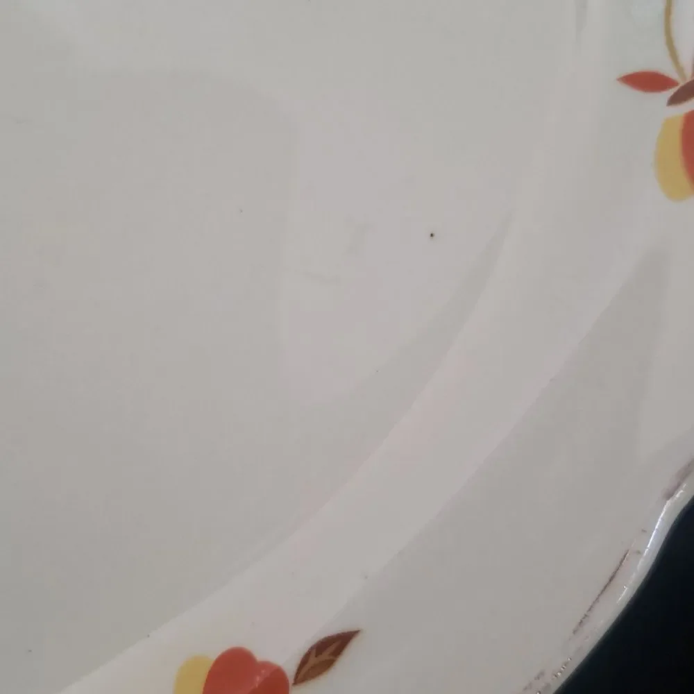 Vintage Hall Jewel Tea Autumn Leaf Porcelain Small Oval Serving Platter Plate 9